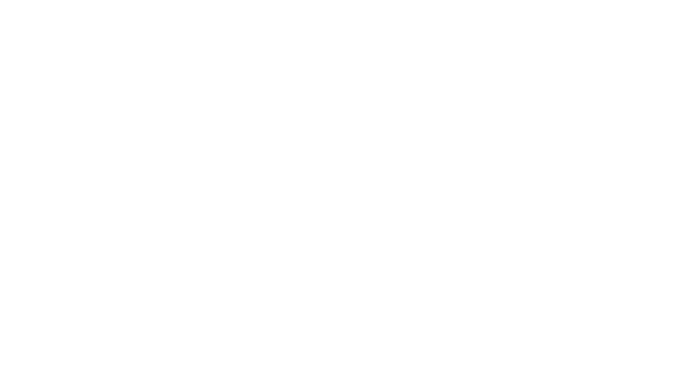 SN Invest